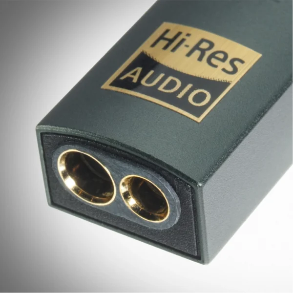 Produto iFi Audio - Go Link MAX 03